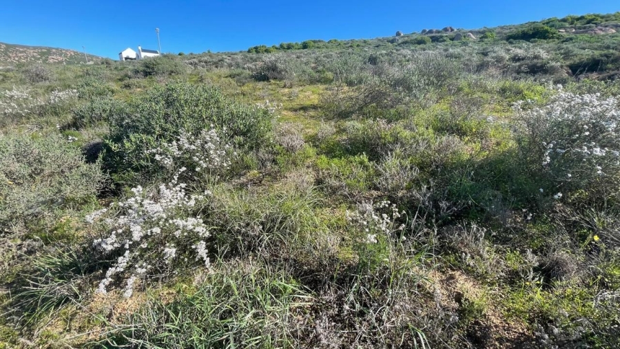 0 Bedroom Property for Sale in St Helena Views Western Cape